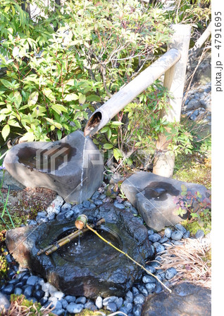 冬の白鳥庭園　つくばい 4791695