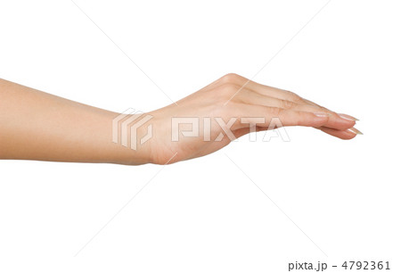 woman hand woman hand 4792361