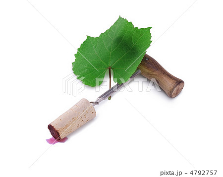 corkscrew corkscrew 4792757