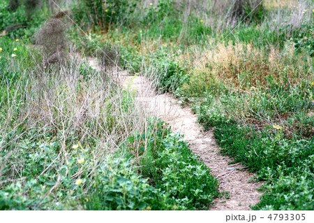 Country Road 4793305