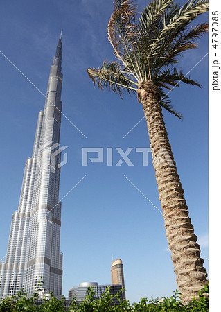 DUBAI - APRIL 17: Burj Dubai skyscraper, palm and plants in fron 4797088