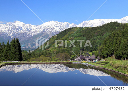 雪山と新緑の青鬼集落 4797482