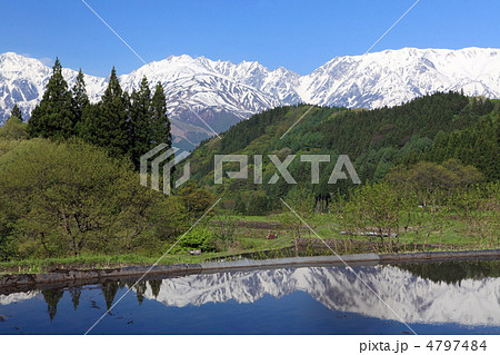 雪山と新緑の青鬼集落 4797484