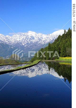 雪山と新緑の青鬼集落 4797488
