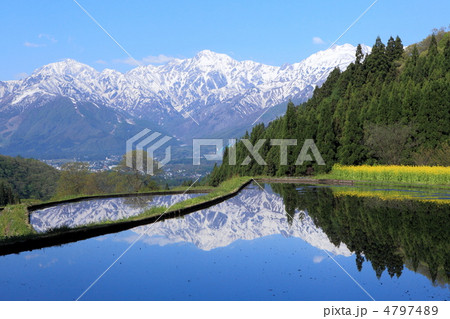 雪山と新緑の青鬼集落 4797489