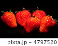 イチゴ イチゴ 4797520