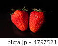 イチゴ イチゴ 4797521