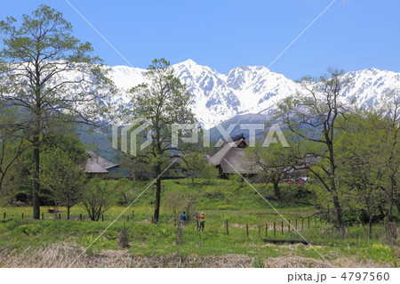 新緑とアルプスが見える村 4797560