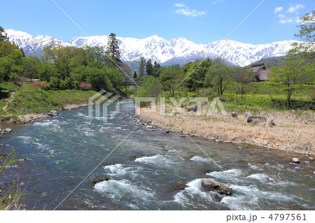 新緑とアルプスが見える村 新緑とアルプスが見える村 4797561