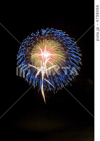 三重芯菊先青光露 4798066