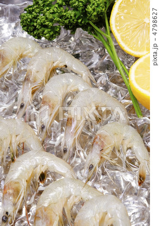 shiba shrimp, シバエビ shiba shrimp, シバエビ 4798627
