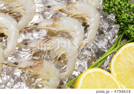 shiba shrimp, シバエビ shiba shrimp, シバエビ 4798628