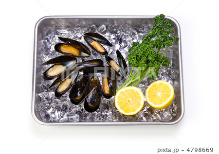 mussel, ムール貝 4798669