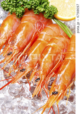 argentine red shrimp, アカエビ argentine red shrimp, アカエビ 4798697