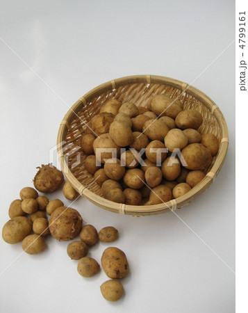 小粒の新じゃが 小粒の新じゃが 4799161
