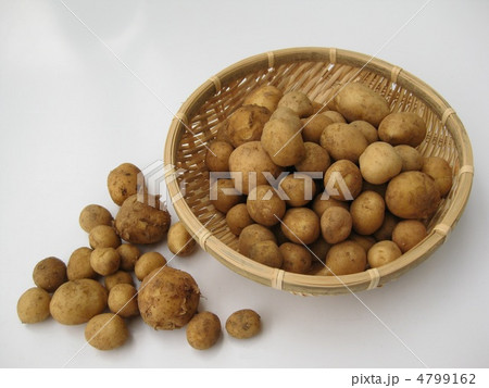 小粒の新じゃが 4799162