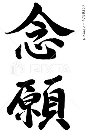 念願 念願 4799357