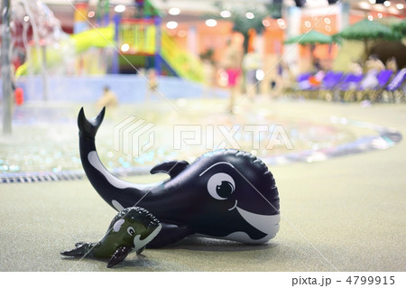 Two whale, large and little, lie alongside in aquapark near pool 4799915