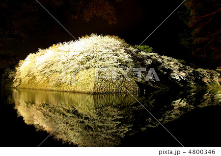 彦根城お堀の桜夜景 4800346