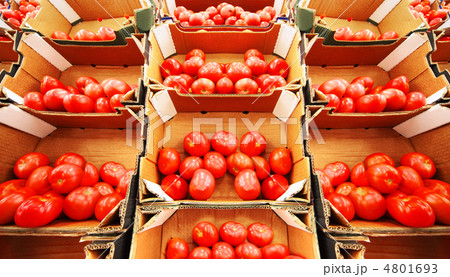 red tomatoes in boxes in large store, rows of boxes with tomatoe red tomatoes in boxes in large store, rows of boxes with tomatoe 4801693