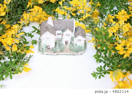 お花いっぱいの住まい 4802114