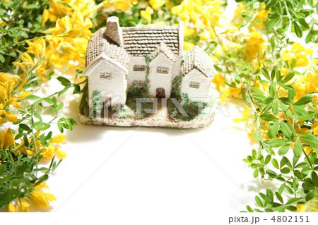 お花いっぱいの住まい 4802151