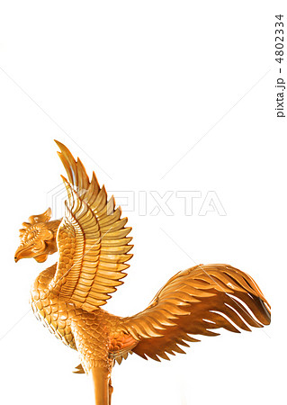 鳳凰 鳳凰 4802334