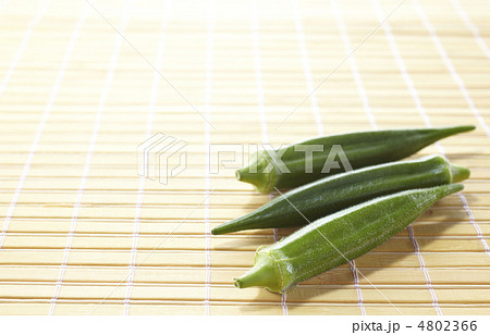 オクラ3 オクラ3 4802366