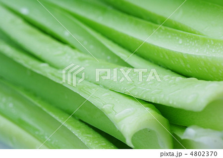 ギボウシの茎 4802370