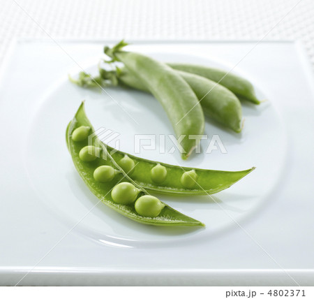 スナップエンドウ1 4802371
