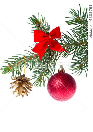 christmas ball on branch 4803761