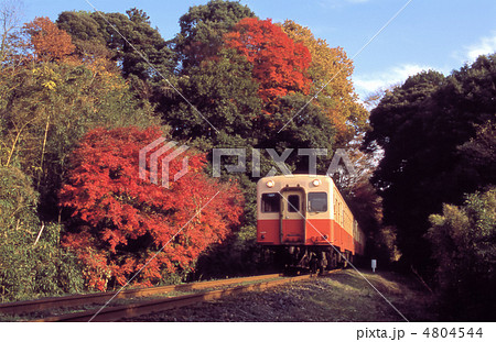 紅葉の小湊鉄道沿線の写真素材