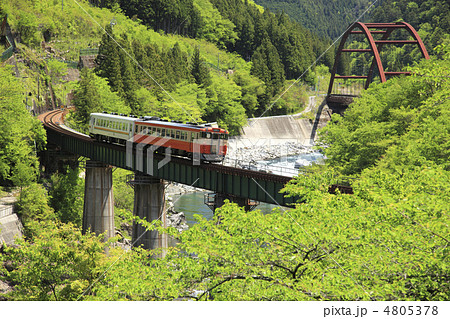 新緑の飛騨川鉄橋 4805378