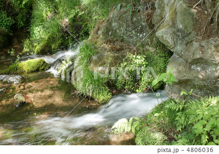 小泉 小泉 4806036