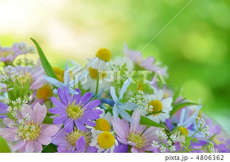 カモミールの花束 4806362
