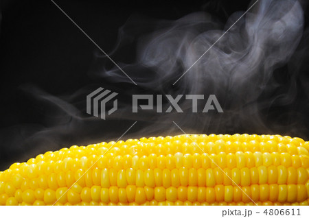 茹でたとうもろこし 4806611