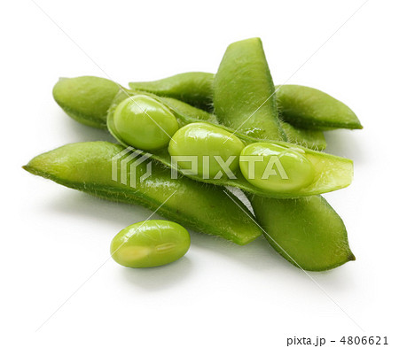 枝豆 4806621