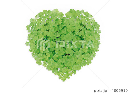 ハート型のクローバー 4806919