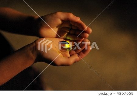 手にのった蛍 4807059