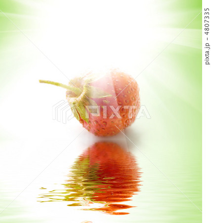 Fresh red strawberry Fresh red strawberry 4807335