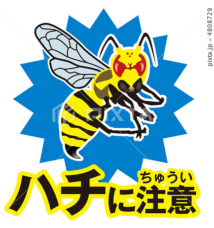 ハチ注意A-4 4808729