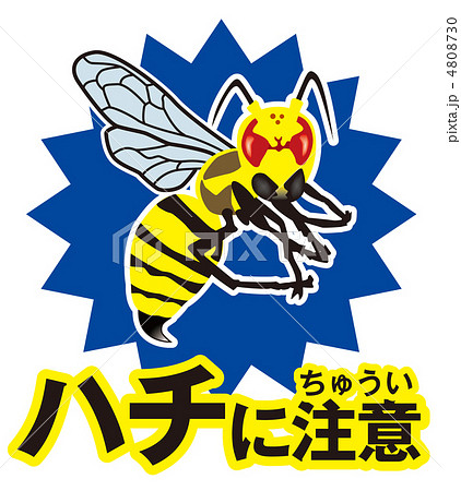 ハチ注意A-5 4808730