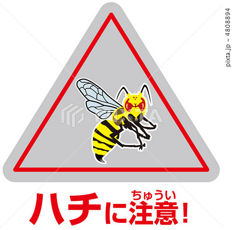 ハチ注意A-46 4808894