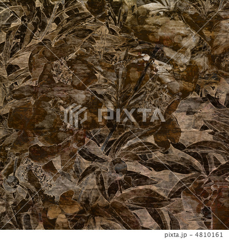 art grunge floral vintage background texture art grunge floral vintage background texture 4810161