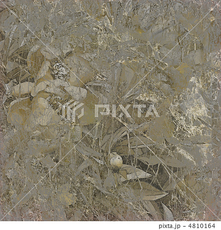 art grunge floral vintage background texture 4810164