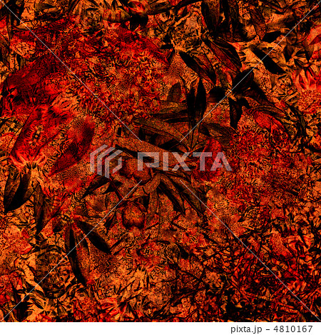 art floral vintage colorful background 4810167