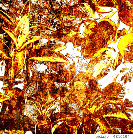 art floral background 4810194