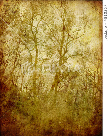 art grunge floral background card art grunge floral background card 4810257