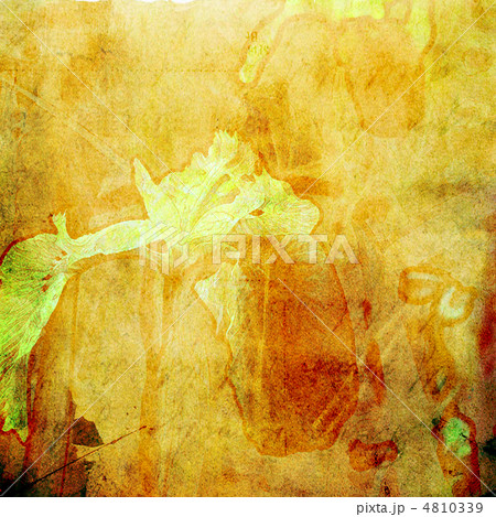 art floral grunge graphic background 4810339