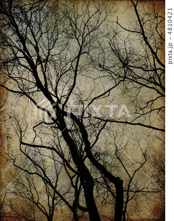 art grunge forest background card art grunge forest background card 4810421